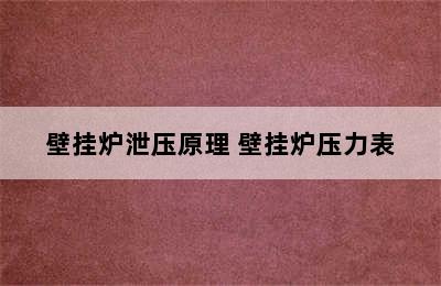 壁挂炉泄压原理 壁挂炉压力表